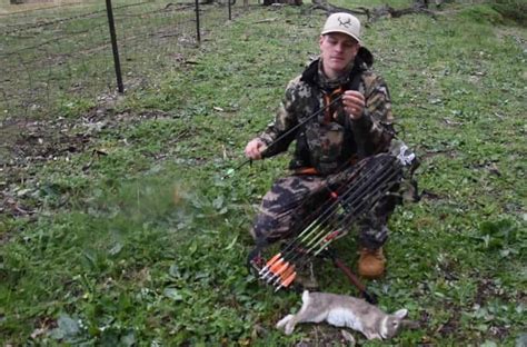 How To Hunt Rabbits With A Bow Expert Tips You Need To Know