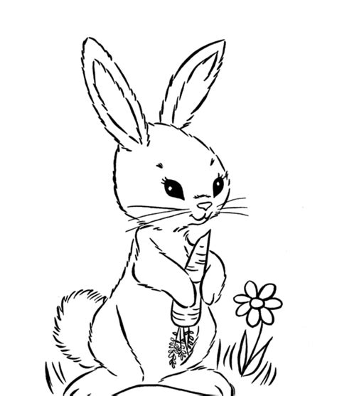If you do not allow these cookies then some or all of these services may not function properly. Rabbit Eating Carrot Drawing at GetDrawings | Free download