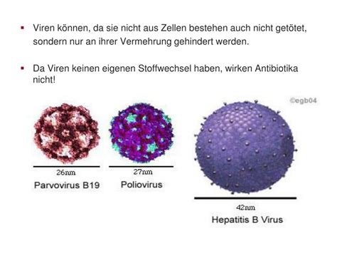Eine schmierinfektion ist ein begriff aus der hygiene und bezeichnet eine übertragung von krankheitserregern durch berührung eines objektes oder lebewesens. PPT - Mikroorganismen PowerPoint Presentation, free ...