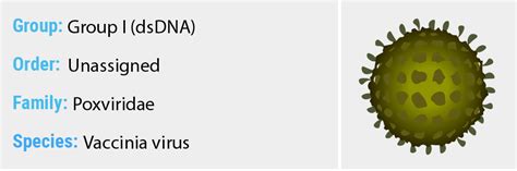Vaccinia Virus - Quip Labs