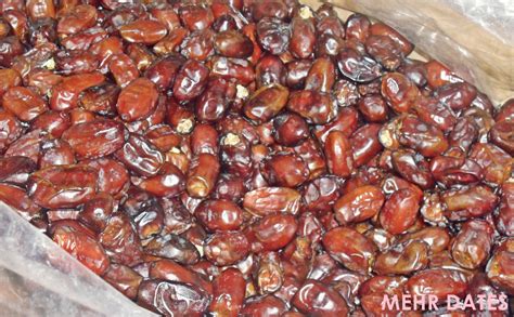 .related to malaysia or malaysians (or submit a text post relating your link to a malaysian context), and for all quick questions, such as as per other comments. Mehr Dates 2017: KURMA MALAYSIA SUPPLIER. YOUR MALAYSIA ...