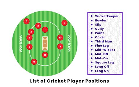 Cricket Ground With Fielding Positions