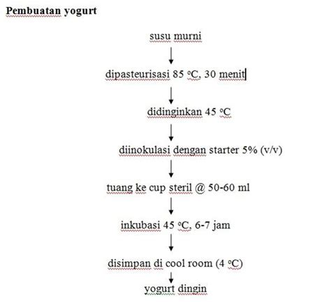 Jelaskan Reaksi Kimia Yang Terjadi Dalam Pembuatan Yoghurt Belajar