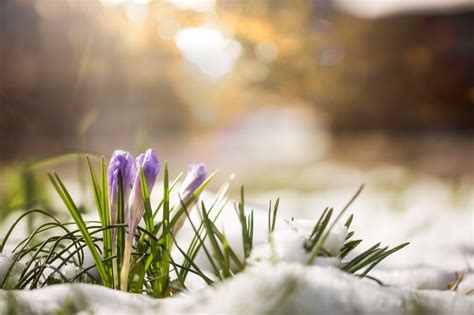 Maybe you would like to learn more about one of these? Garten im Februar - Vorbereitung auf das Frühjahr - Owners ...