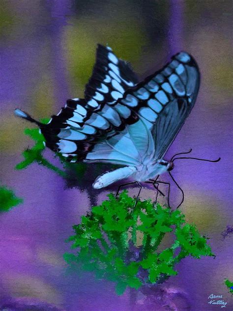 Blue Monarch Painting By Bruce Nutting Pixels