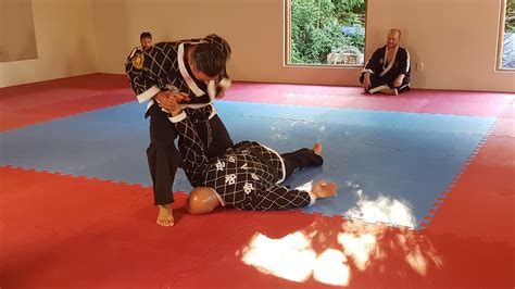 Free Images Hapkido Martial Arts Combat Sport Mat Individual