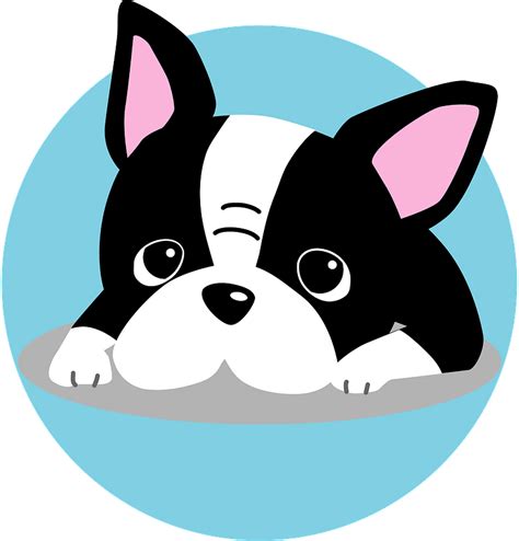 Boston Terrier Dog Clipart Free Download Transparent Png Creazilla