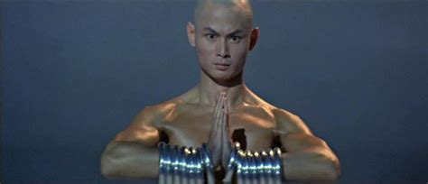 With his excellent acting abilities, his martial art skills surely you've seen shaolin warrior, 36th chamber of shaolin and kill bill; Cinemalacrum: Even A Buddhist Must Conquer Evil: The 36th ...