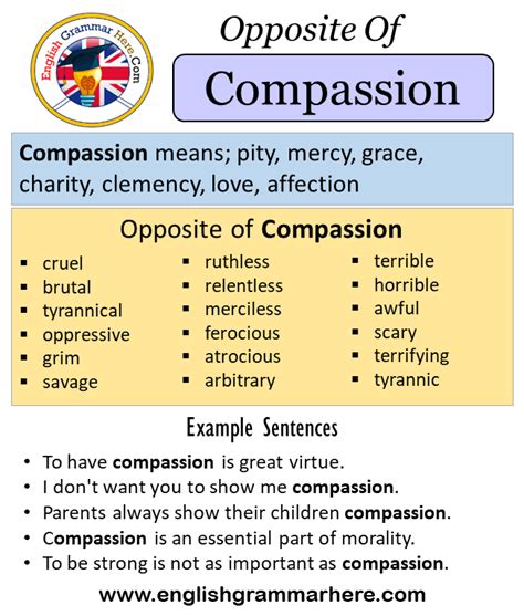 Opposite Of Compassion Antonyms Of Compassion Meaning And Example