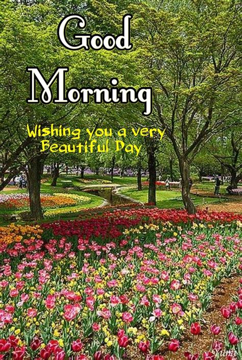 Pin By Deepti Bahl On Daily Routine In 2023 Good Morning Nature Good