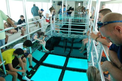 The Air Conditioned Glass Bottom Deck Picture Of Key Largo Princess