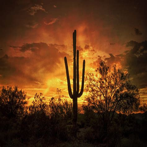 Fiery Desert Skies Square Photograph By Saija Lehtonen Fine Art America