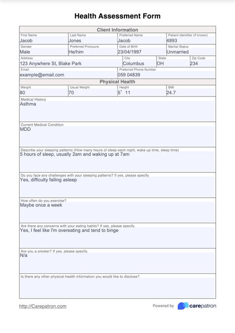 Health Assessment Form And Template Free Pdf Download
