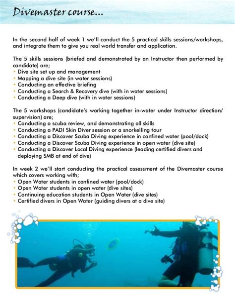 Padi Open Water To Scuba Instructor Course Information