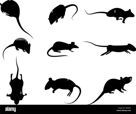Set Of Black Silhouette Rat Icon Isolated Vector On White Background