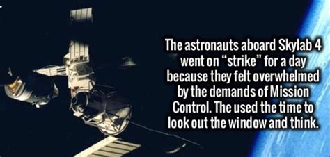 A Few Entertaining Facts (34 pics) - Izismile.com