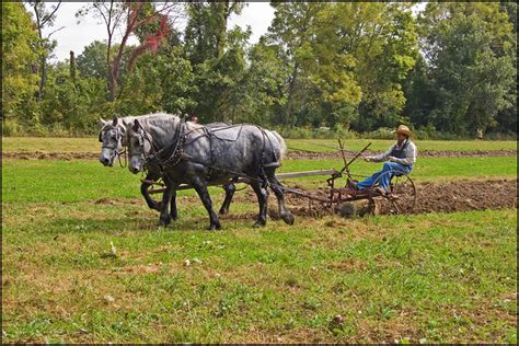 Farmers | antique technical illustrations engraving of a xix century farmers working on the field (isolated on white). Horse Drawn Plow | Flickr - Photo Sharing!