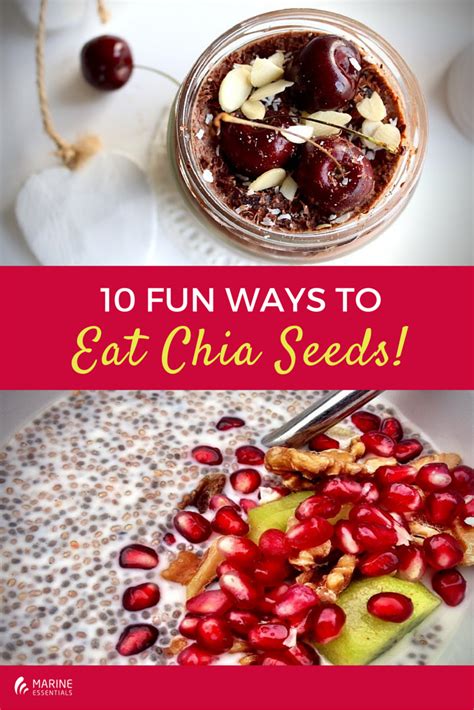 10 Fun Ways To Eat Chia Seeds Marine Essentials Blog