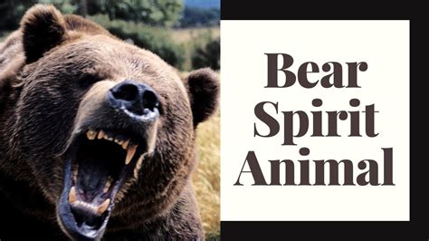 Bear Spirit Animal Youtube