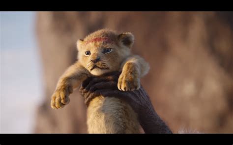 They are known as the king of the jungle and are synonymous with strength, might, and courage. The Lion King Teaser: Long Live the King