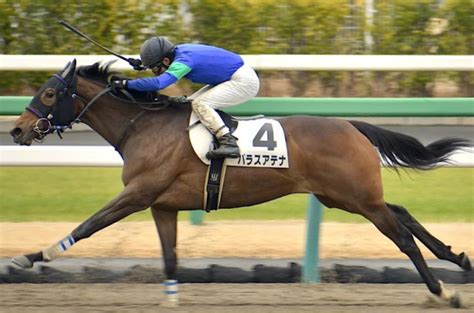 ラジオnikkei賞 サテライト。 ラジオnikkei賞 予想その① ラジオnikkei賞 予想その② ラジオnikkei賞 予想その③ ラジオnikkei賞 予想その④ ラジオnikkei賞 予想その⑤. 【ラジオNIKKEI賞予想オッズ】武豊騎手とコンビのパラスアテナ ...