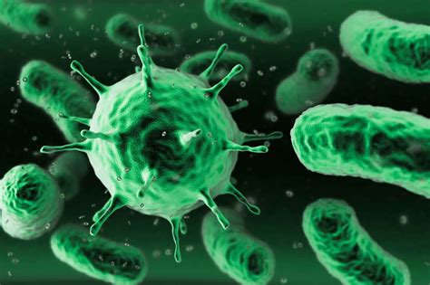 13 fatos sobre bactérias que vão te arrepiar Aventuras no Conhecimento