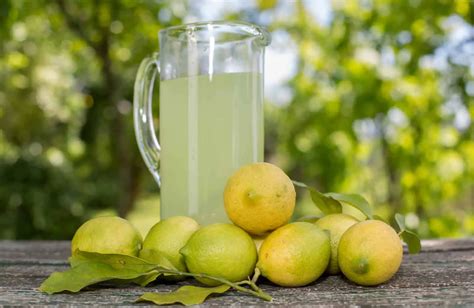 Can Bottled Lemon Juice Go Bad The Kitchen Journal