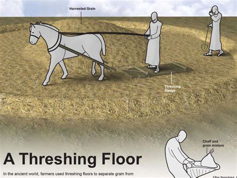 Threshing Floor Meaning In Hindi Review Home Decor