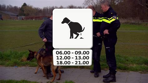 Bekijk deze pin en meer op blog ♥ moodkids.nl ♥ van moodkids over opvoeden, knutselen, trakteren, recepten voor ouders en kinderen. 1 april grap Laarbeek: poepklok voor honden - YouTube