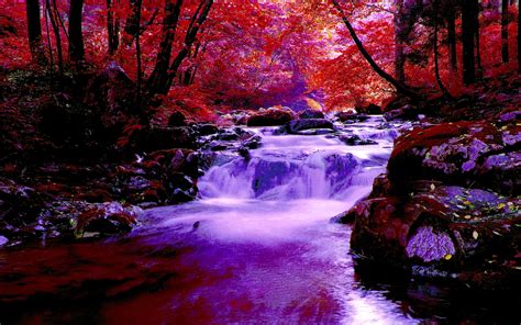 Autumn Forest Falls Wide Wallpaper 520474