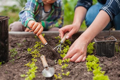 Top Five Tips For Pain Free Gardening Healthy Headlines