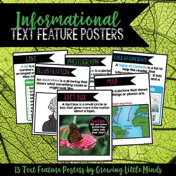 Informational Text Feature Posters By Erica Butler TPT