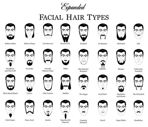 Expanded Facial Hair Types Chart Types Of Facial Hair Beard