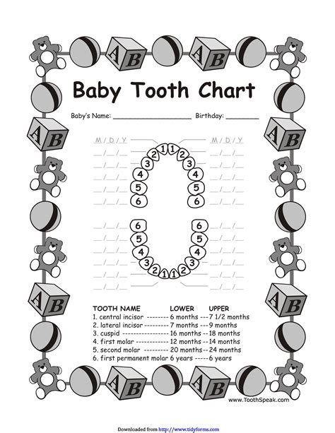 View Baby Teeth Eruption Charts Pictures Teeth Walls Collection For