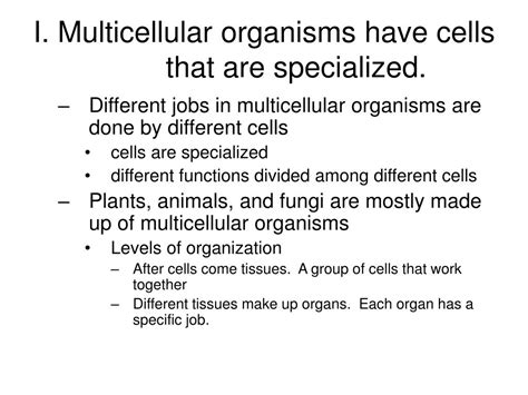 Ppt I Multicellular Organisms Have Cells That Are Specialized