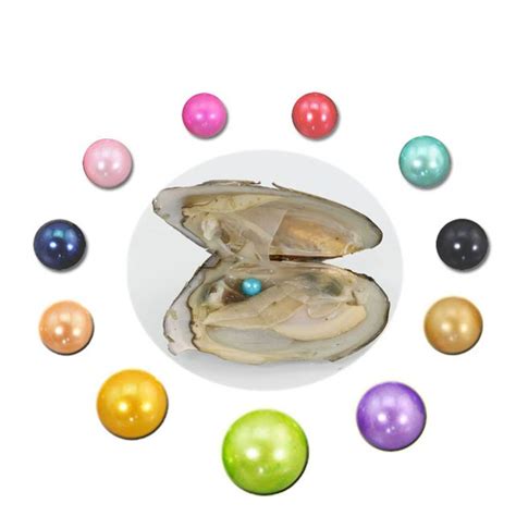 Wholesale Freshwater Oysters With Colored Pearls 6 7mm7 8mm Round Dyed