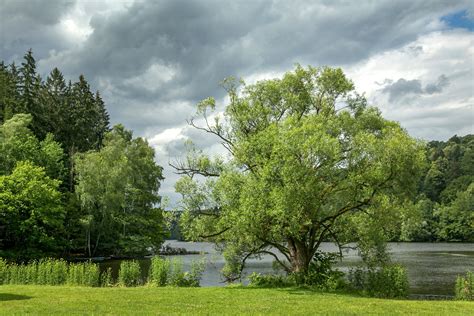 We have reviews of the best places to see in passau. germany, Summer, Rivers, Trees, Passau, Nature, Wallpapers Wallpapers HD / Desktop and Mobile ...