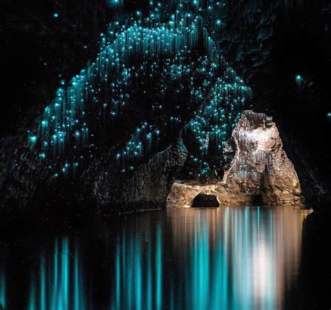 Waitomo Glowworm Caves Lbs Leisure And Business Services
