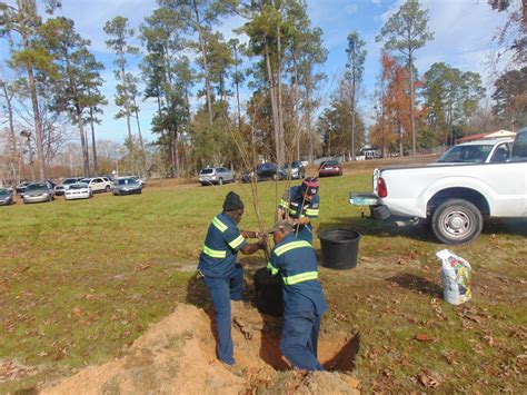 DSC00686 – City of Marion, South Carolina