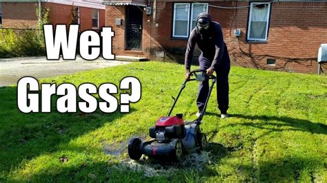 Can I Cut Wet Grass Youtube