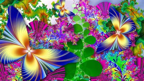 Rainbow Butterfly Wallpapers Top Free Rainbow Butterfly