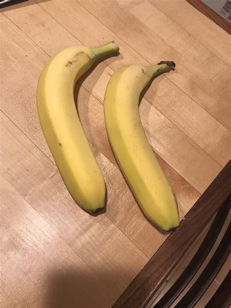 Banana With A Banana For Scale Bananasforscale