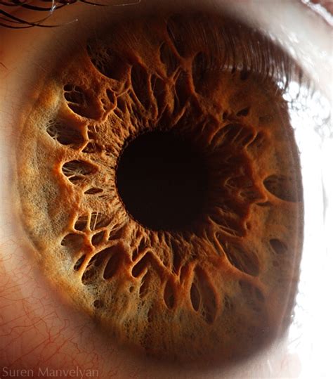 Your Beautiful Eyes Amazing Close Up Photos Of Human Eyes By Suren