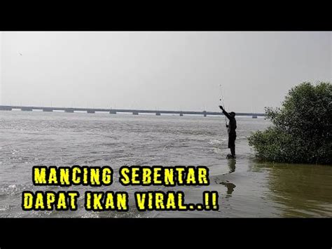 MANCING CUMA SEBENTAR DAPAT IKAN VIRAL Matakailsby YouTube