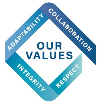 What's different about the team at northern sydney local health district? Your Council - Shoalhaven City Council