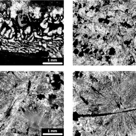 Representative Thin Section Photomicrographs Of Rock Textures From The