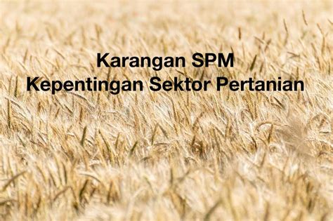 Karangan Sektor Pertanian Sektor Pertanian Merupakan Nadi Terpenting