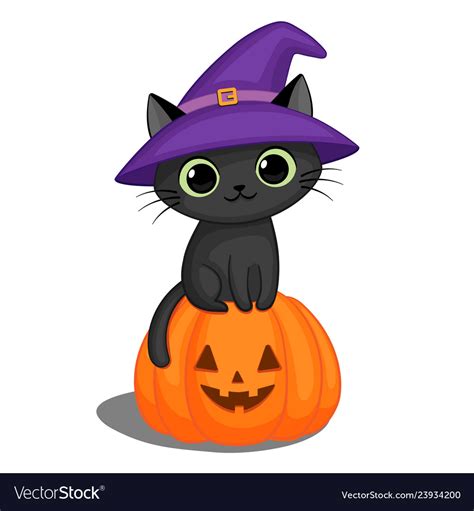 Black Cat In A Witch Hat On Halloween Pumpkin Vector Image