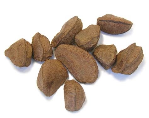 13 jul 1714 viceroyalty of brazil. Brazil Nuts