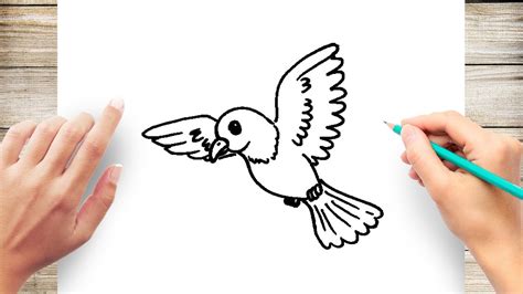 How To Draw A Bird Flying Step By Step For Kids Youtube